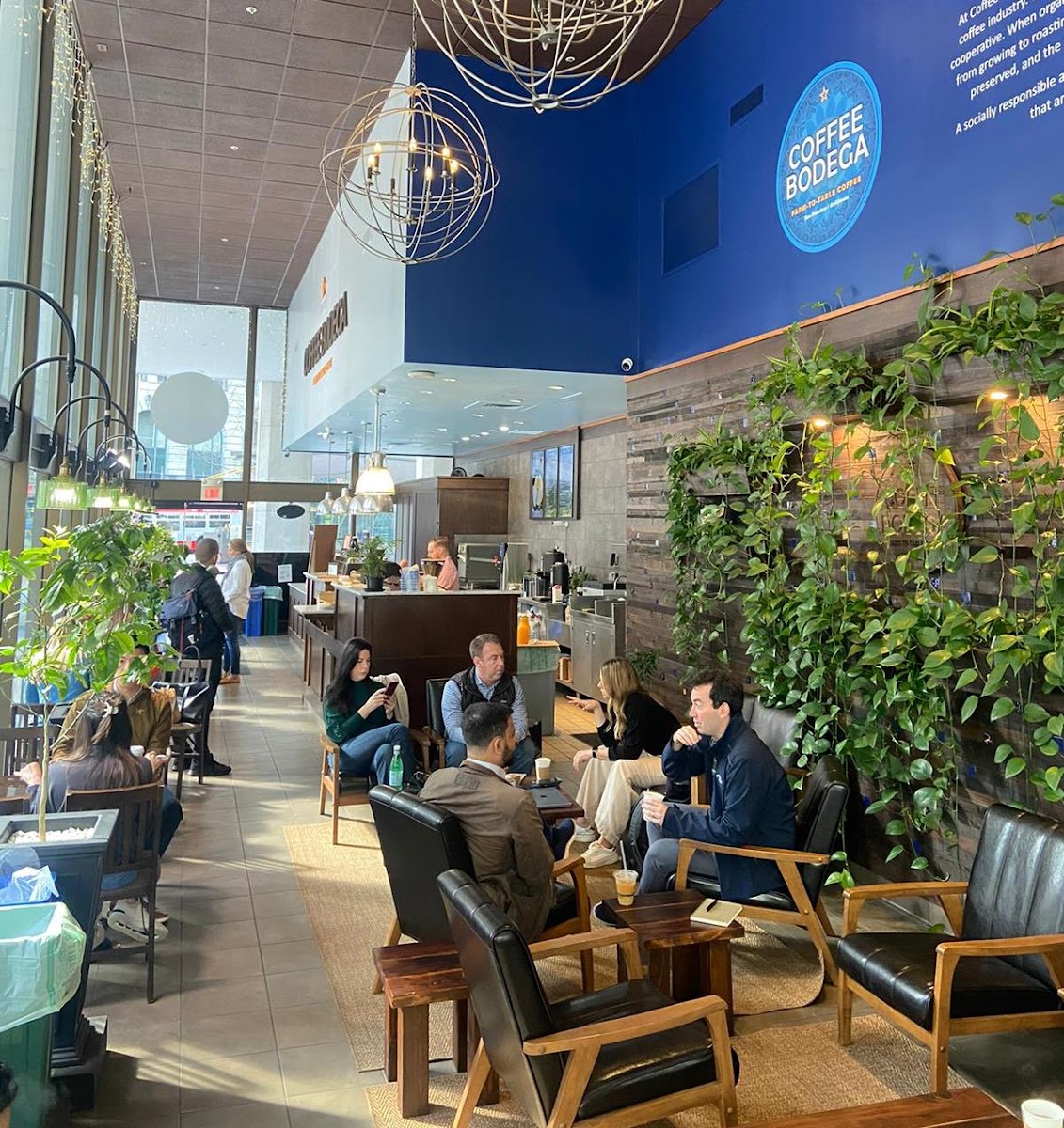 Coffee Bodega Farm-To-Table